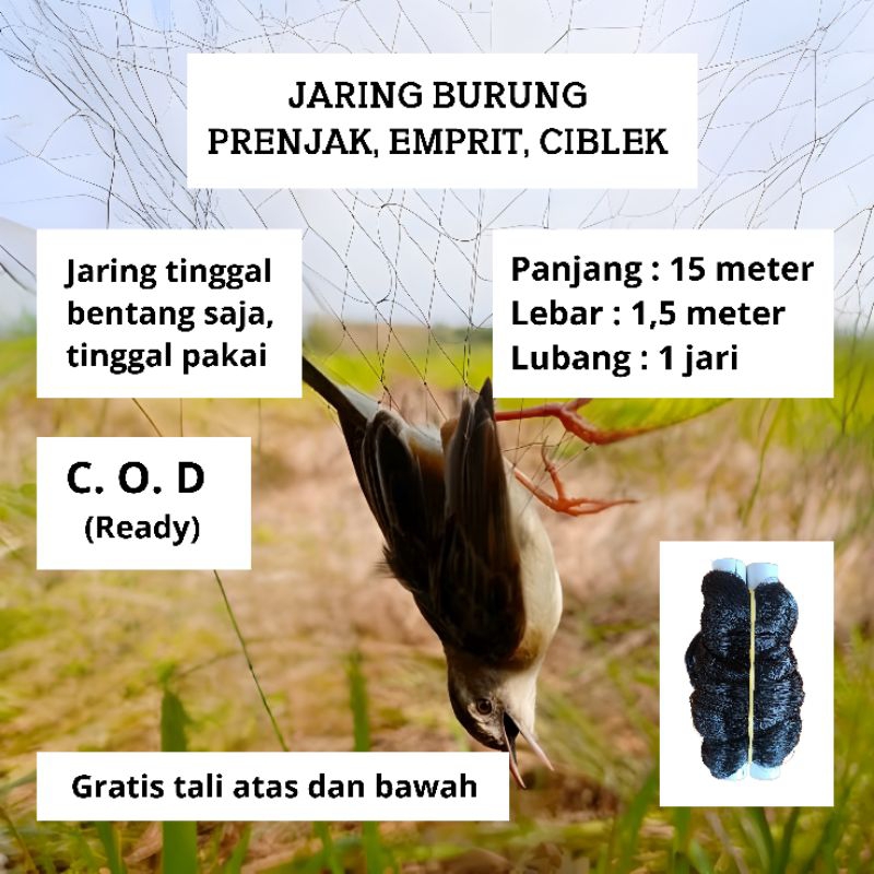 JARING EMPRIT PIKAT BURUNG PIPIT JARING BURUNG JARING MONTANA JARING SIAP PAKAI