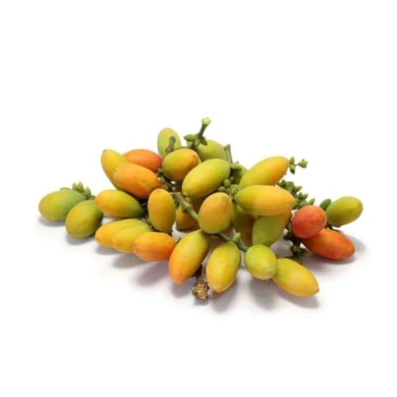 

buah melinjo/biji Tangkil/ daun melinjo 100 gram