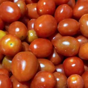 

tomat ceri 100 gr