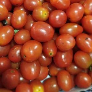 

tomat ceri 250g