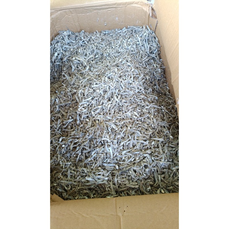 

Teri Tawar Medan (Asli 100% Dari Medan) 1Kg