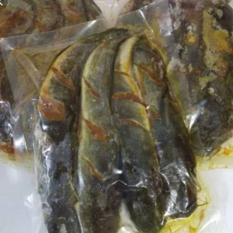 

lele premium marinasi siap goreng