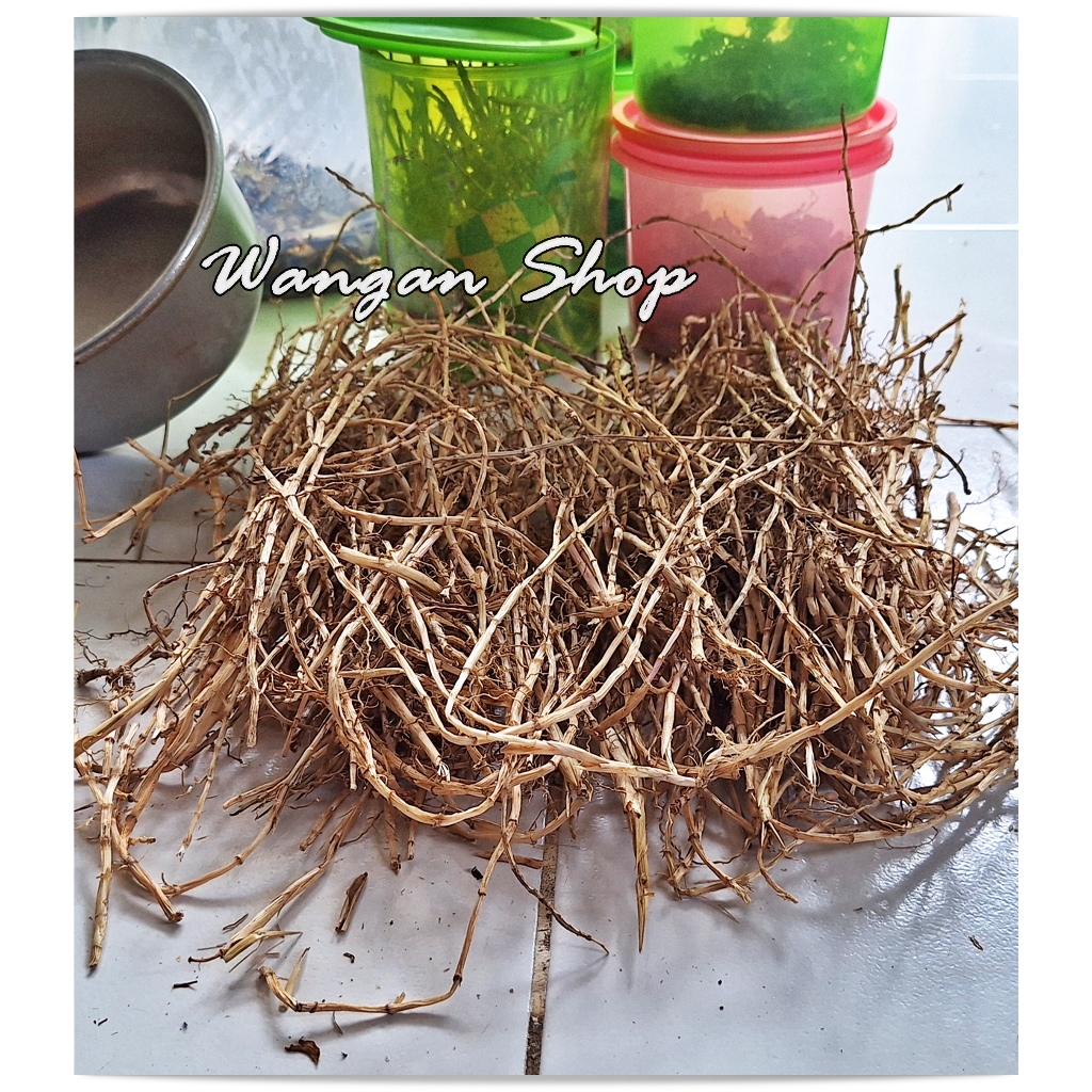 

Rempah Herbal Akar Alang Alang Kering Per 250 gram
