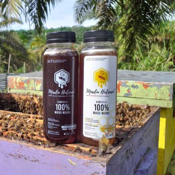 

Madu Huteunn Aceh Hutan Palalawan Riau