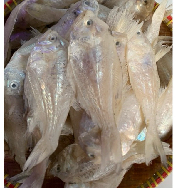 

ikan asin putri ayu kering putih glowing