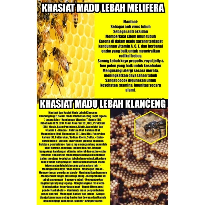 

MADU ASLI 100 %