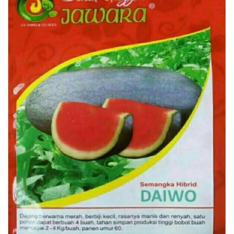 

BENIH SEMANGKA [5gr] || SEMANGKA DAIWO