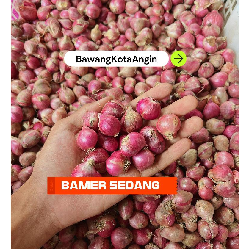 

bawang merah 1kg murah