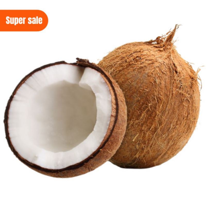 

BUAH KELAPA TUA SUDAH DI KUPAS SIAP KIRIM PER 1 BUAH