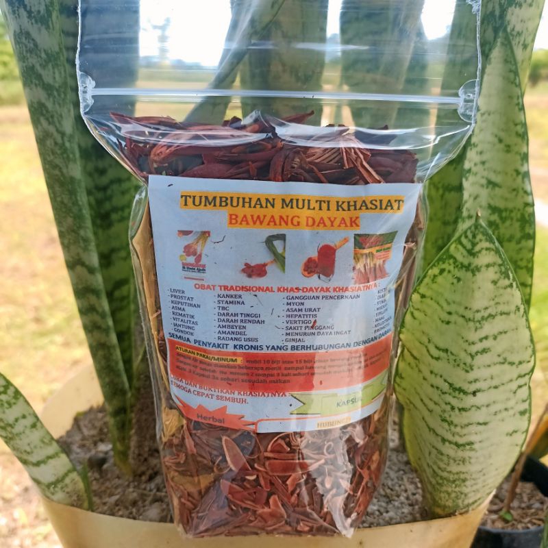 

BAWANG DAYAK BAWANG TIWAI KERING OBATI SEMUA PENYAKIT JAGA KESEHATAN TUBUH