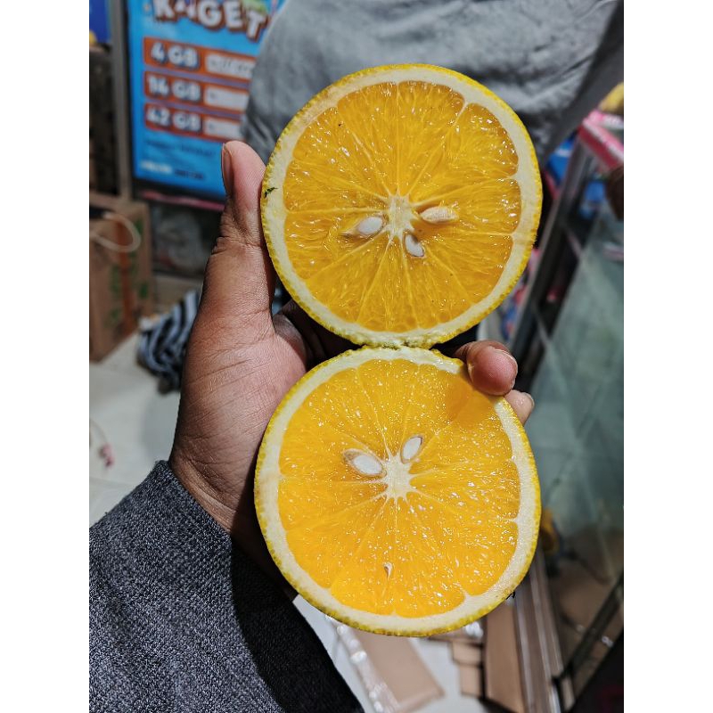 

JERUK BABY JAVA MALANG ASLI MANIS HARGA PER KG