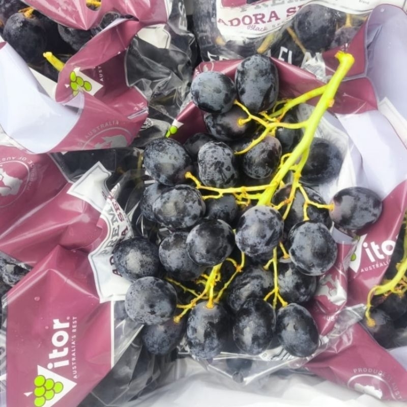 

[KIRIM INSTAN/SAMEDAY] Anggur Autum Adora Super JUMBO NON BIJI MANIS