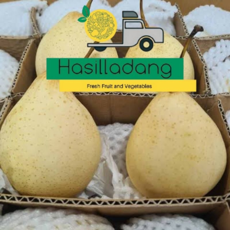 

Buah Pear yalie 1 kg