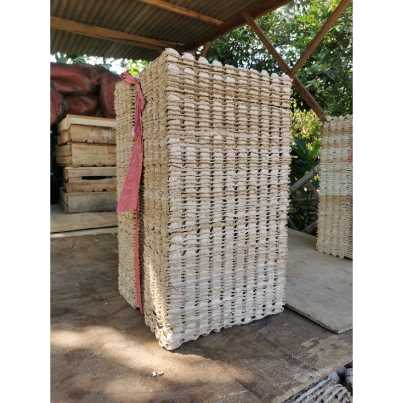 Tray Telur Puyuh Super