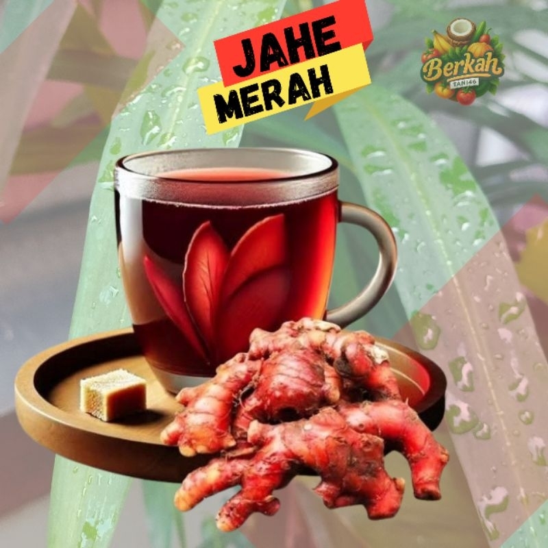 

Jahe Merah /Jahe Emprit Segar