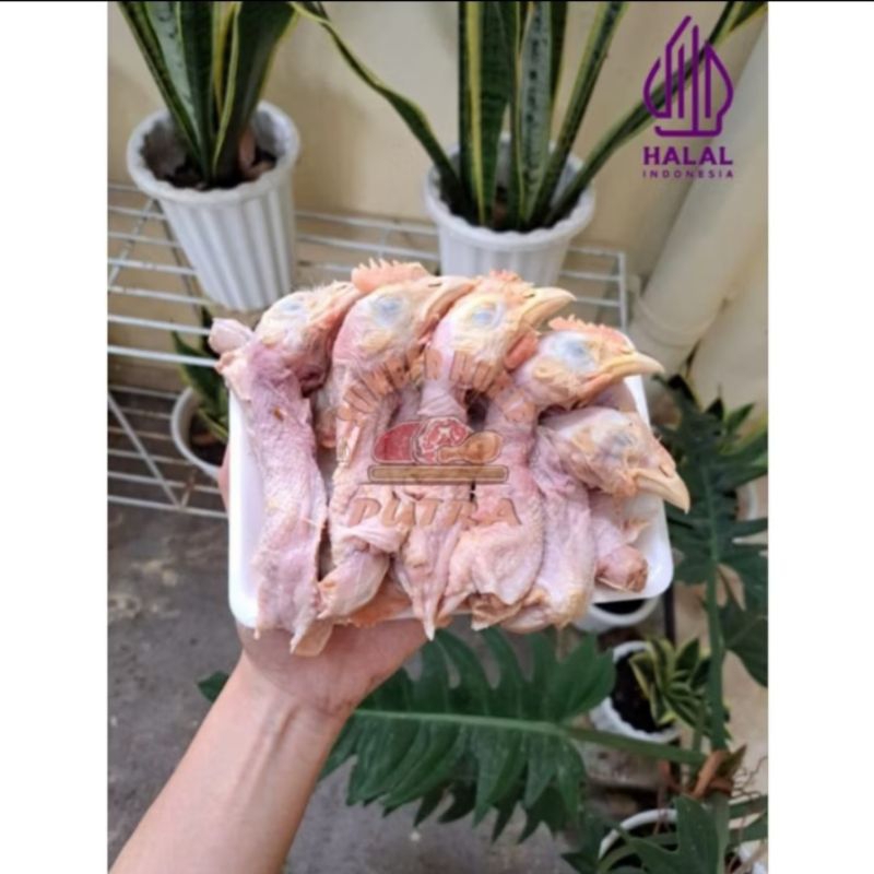 

PROMO !! Kepala Ayam Pejantan 1Kg Termurah