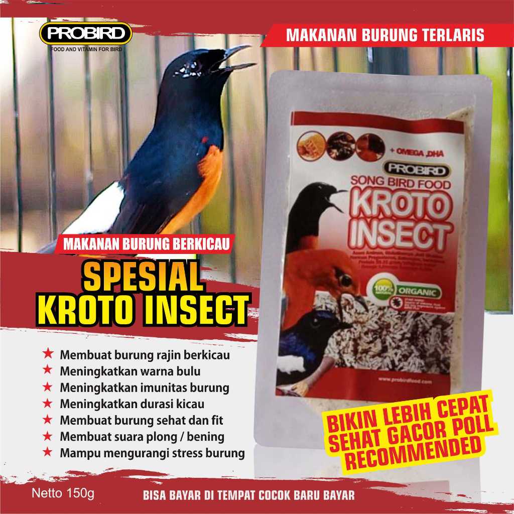 KROTO INSECT 100% KROTO HALUS KERING