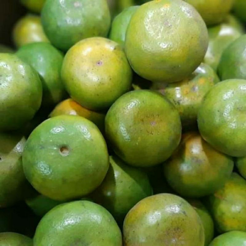 

buah - jeruk siam Jember 500g by pasar Tasik online