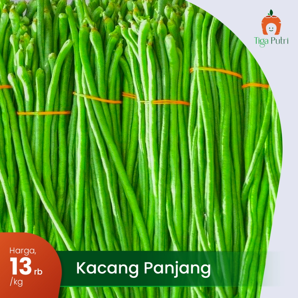 

Kacang Panjang Sayuran Segar Panjang, Hijau, dan Bergizi