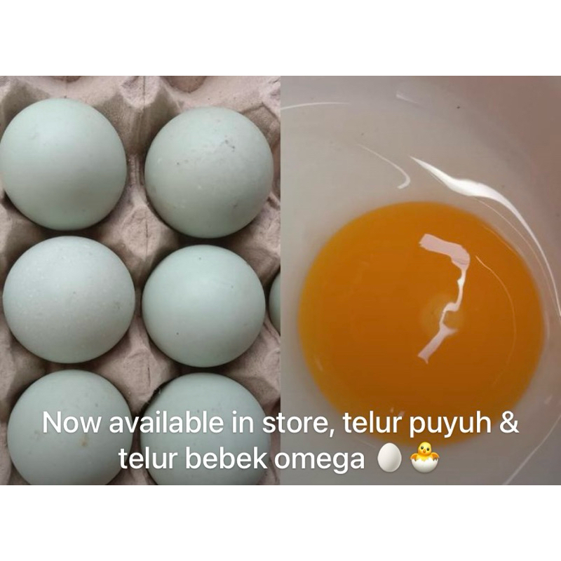 

telur bebek omega (1 kg)