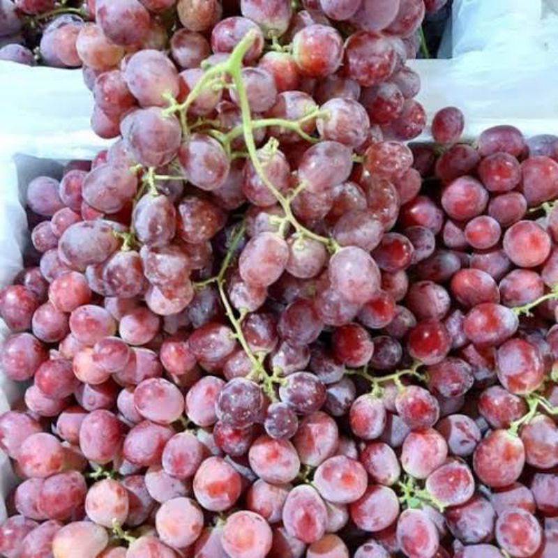 Anggur red globe 1kg/ buah anggur merah segar 1kg