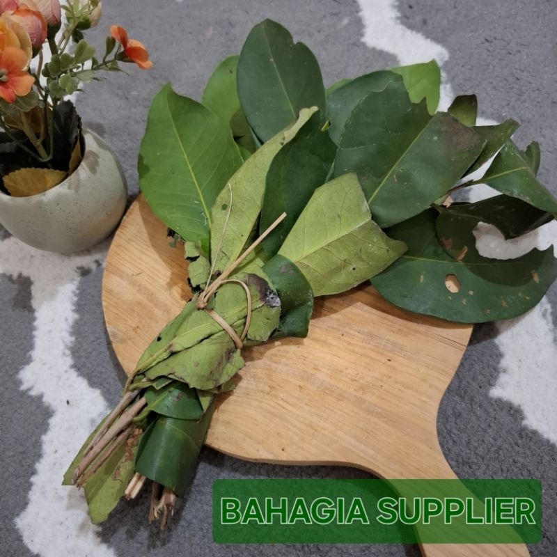 

Daun Salam per Ikat