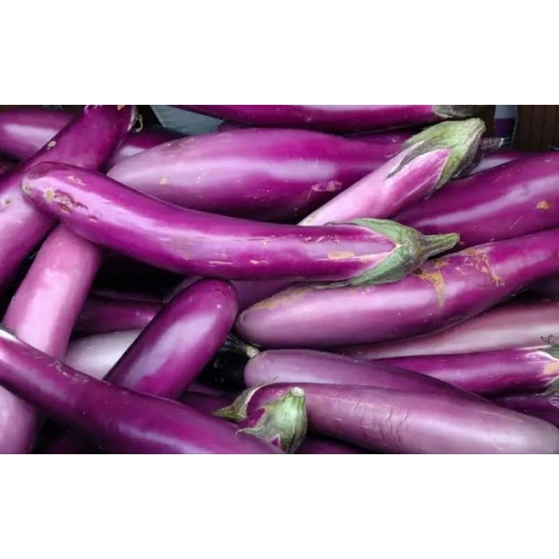 

terong ungu segar /fresh 1kg