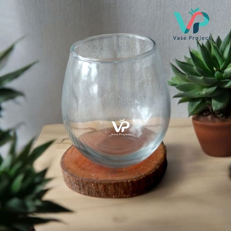 Paket Vas Bunga Kaca Bulat Dan Tatakan Kayu Rustic | Terarium Kaca | Vas Kaca Estetik | Vasquarium |