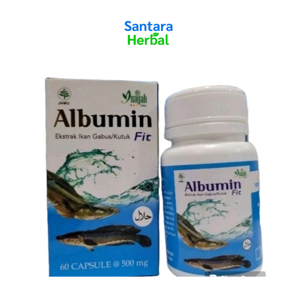 ALBUMIN FIT KAPSUL ALBUMIN IKAN GABUS OBAT LUKA MEMPERCEPAT PENYEMBUHAN PASCA OPERASI