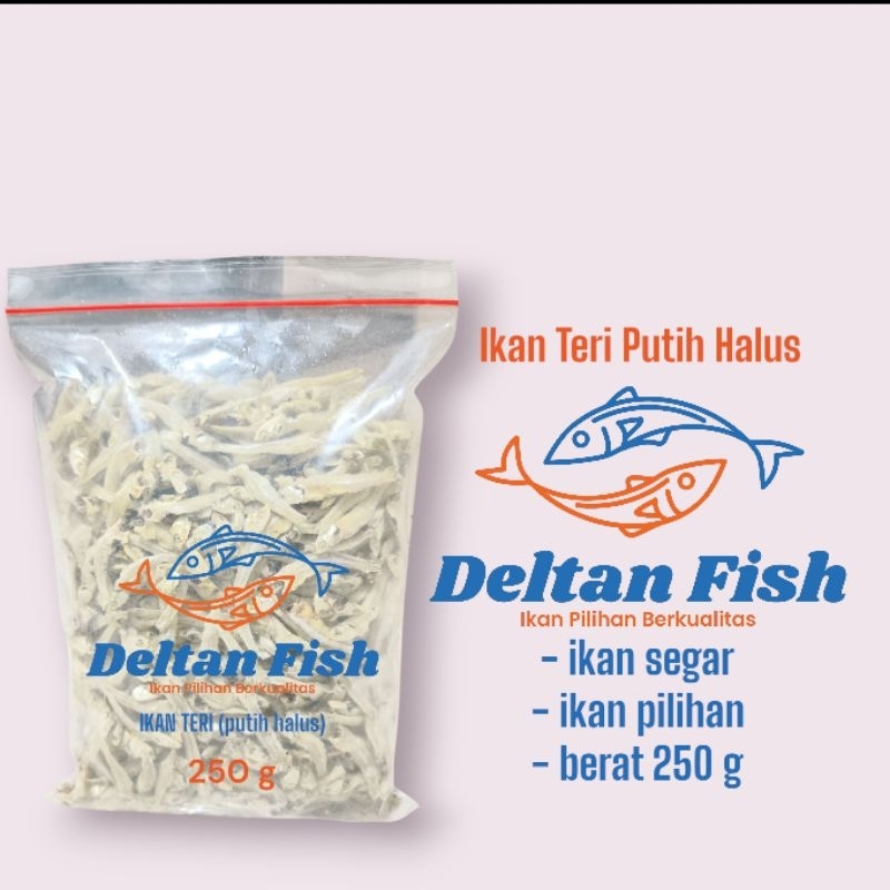 

Ikan teri (putih halus) deltan fish ikanteri putih halus segar alami hasil laut tanpa pengawet