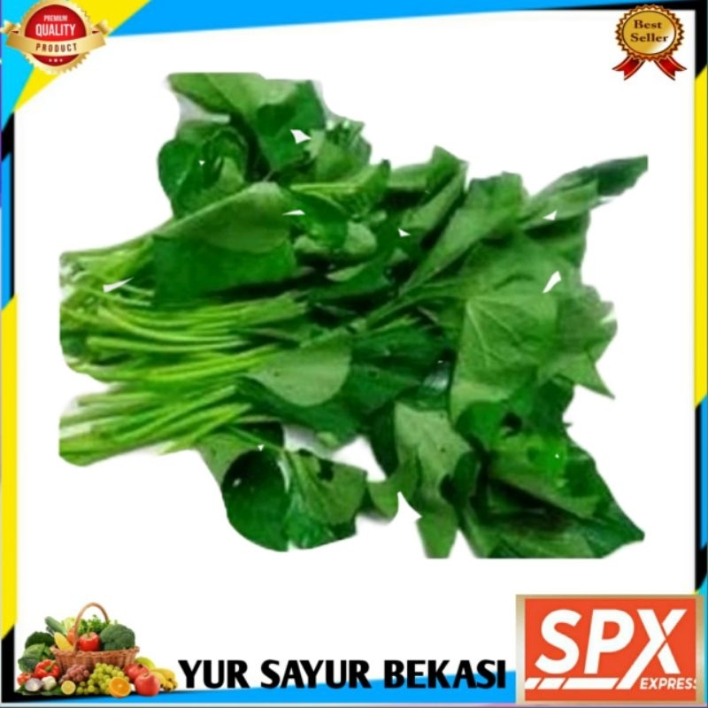 

Daun Ubi Jalar Per Ikat