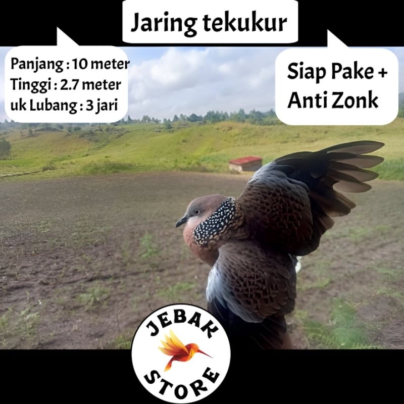 JARING BURUNG TEKUKUR JARING BURUNG DERKUKU JARING BURUNG DEKUKU JALA PIKAT BURUNG TEKUKUR KLANTAN J