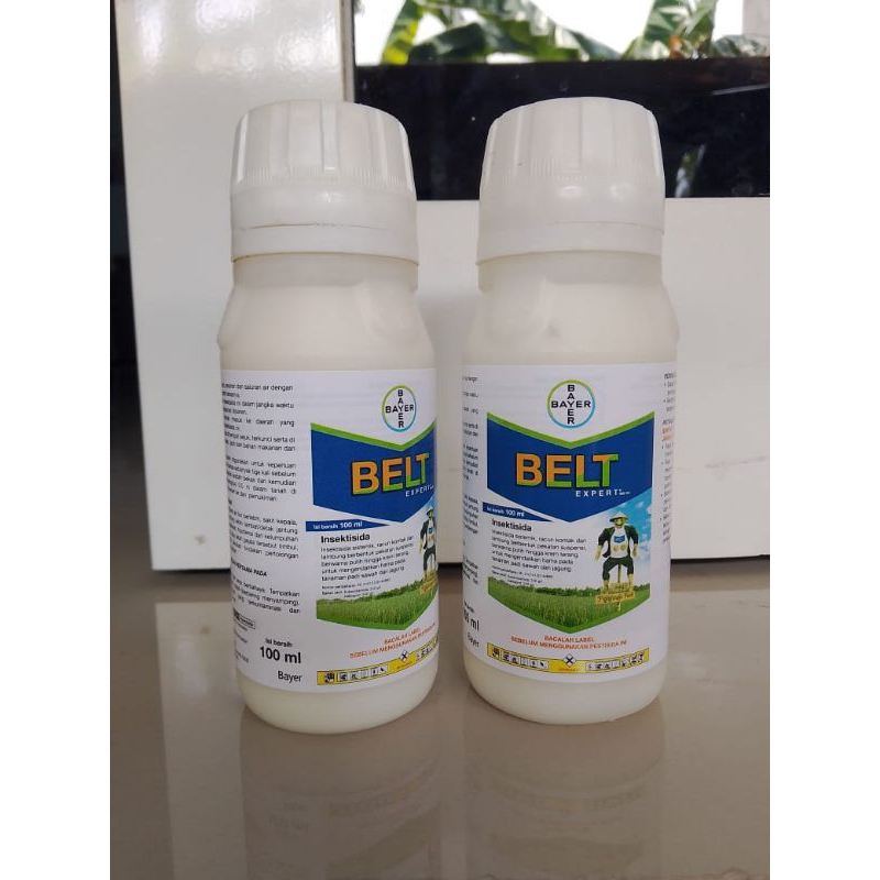 Belt expert 480sc 100ml
