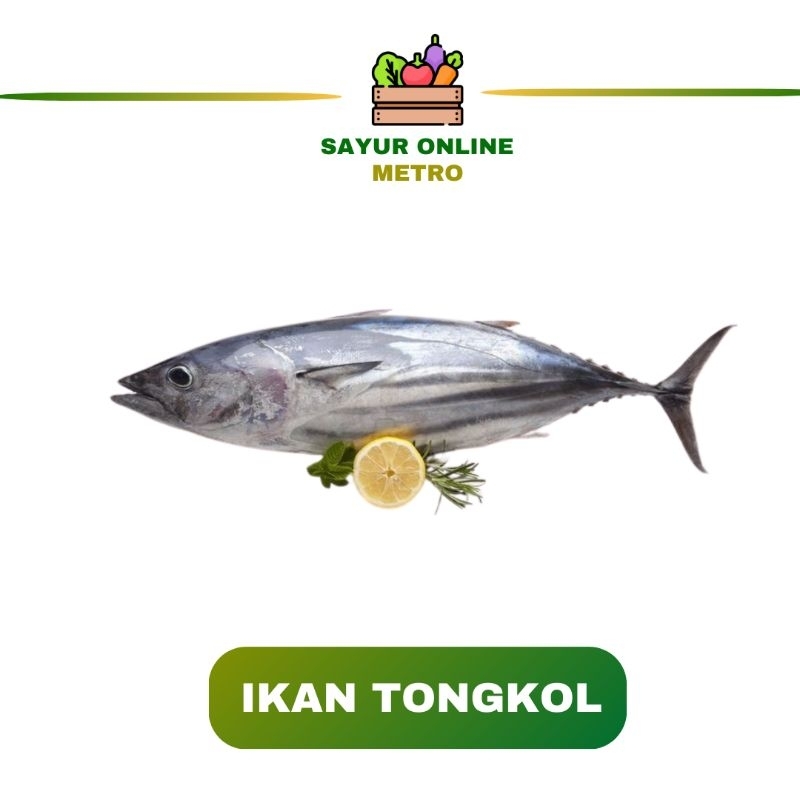 

Ikan Tongkol /segar /500gr - Sayur Online Metro