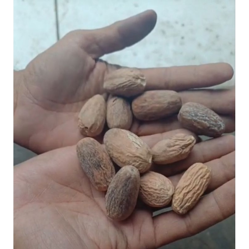 

Biji Pala Lonjong kering grade A kualitas terbaik 100gram.