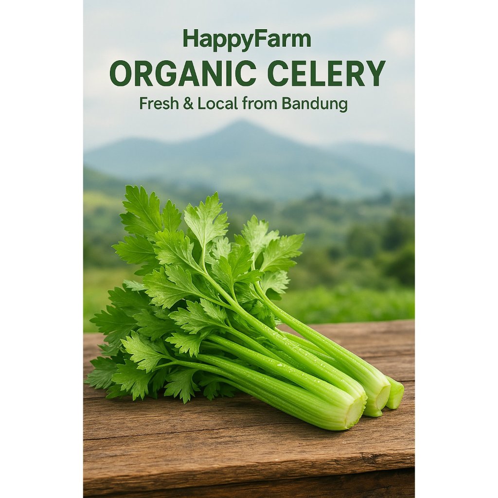 

Celery Seledri Stick Organic Fresh Bandung 1kg