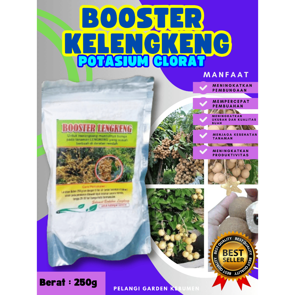 TERBAIK  Boster Kelengkeng Merah Cangkok Berbuah, Boster Kelengkeng Matalada, Boster Kelengkeng Mera