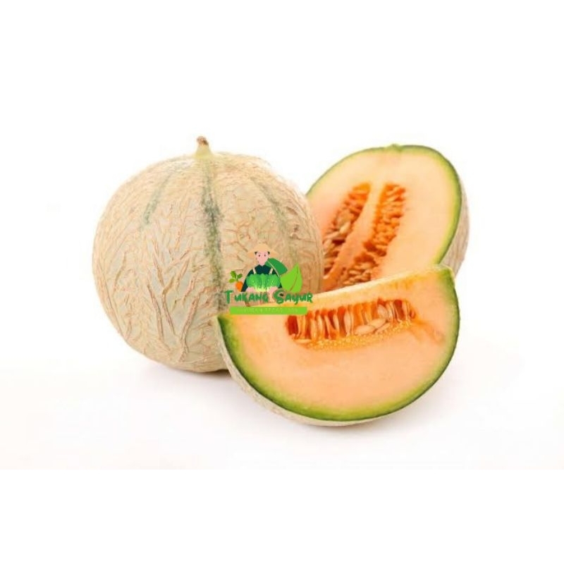

Melon Madu Fresh per buah