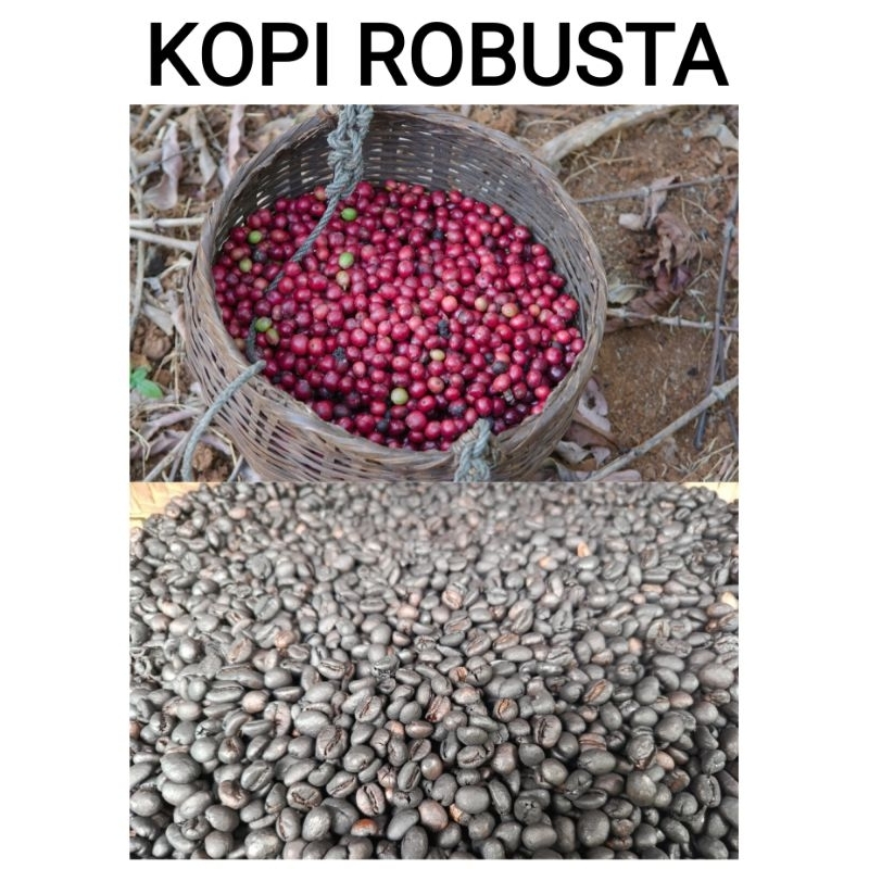 

KOPI ROBUSTA SANGRAI