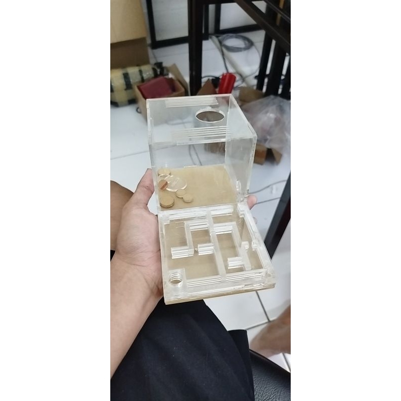 formicarium uji coba / bekas kandang semut akrilik