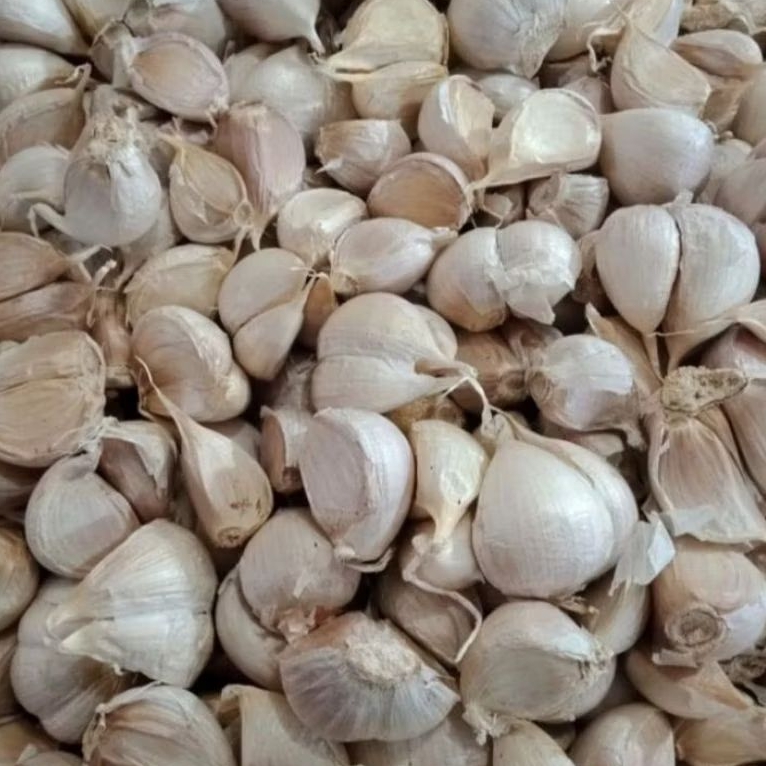 

Bawang Putih 200g (Jambi)
