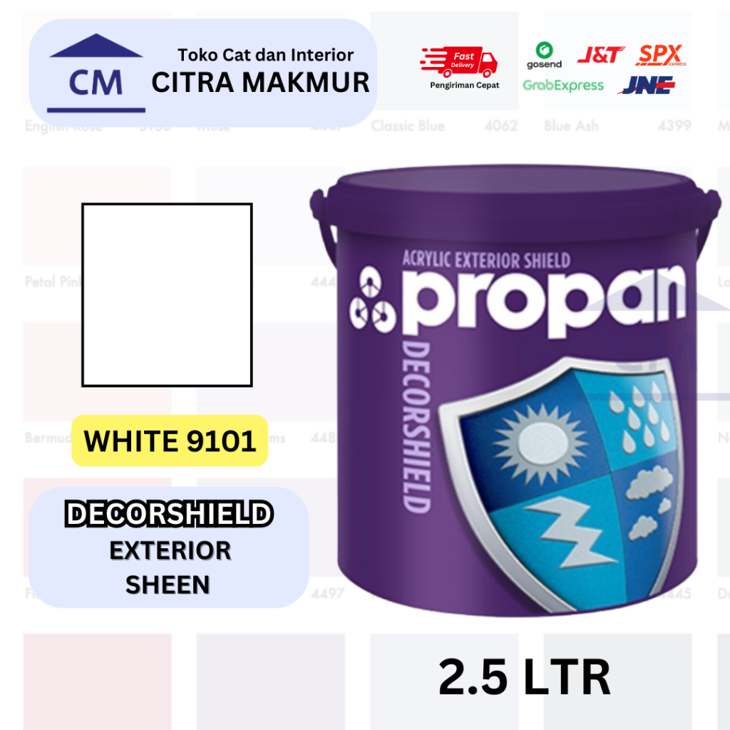 Propan Decorshield WHITE 9101 - 2.5 Ltr | Propan Decorshield DW-500
