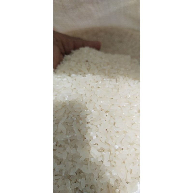 

beras kuriak putih jaho produksi sendiri