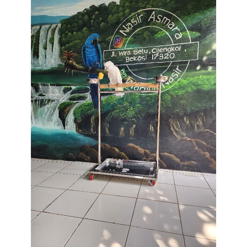 Tangkringan stainless burung kakak tua jambul kuning macaw parrot