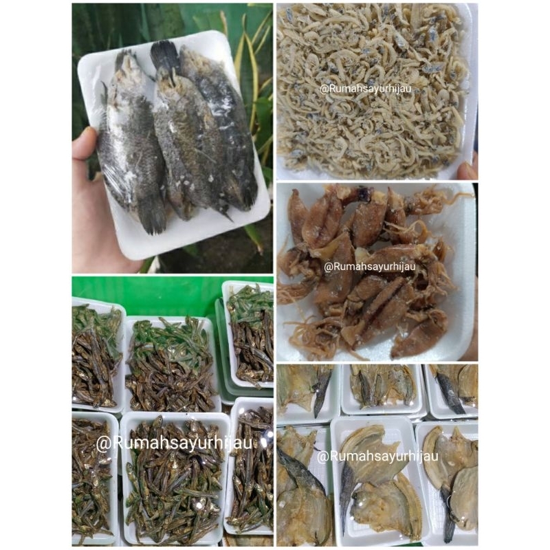 

Paket Ikan Asin Per Pack / Ikan Asin Teri, Cumi Asin, Teri Medan,Ikan asin Haruan / Gabus, Wadi Pepuyu