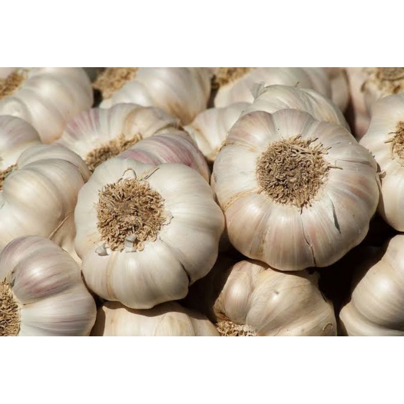

bawang putih banci/honan berat 500grm