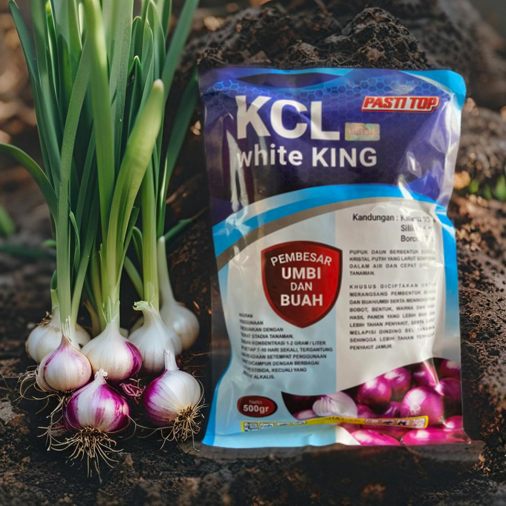 KCL White King - Pupuk Tanaman Pembesar Umbi Dan Buah