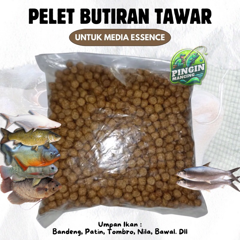 Umpan Pelet Butiran Ikan Bandeng Patin Tombro Bawal Nila Media Essence