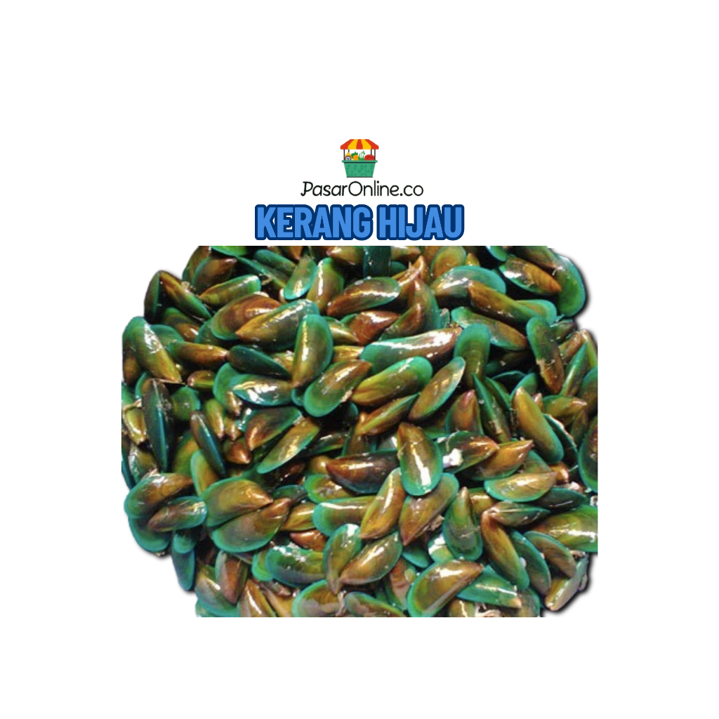 

KERANG HIJAU PER KILOGRAM