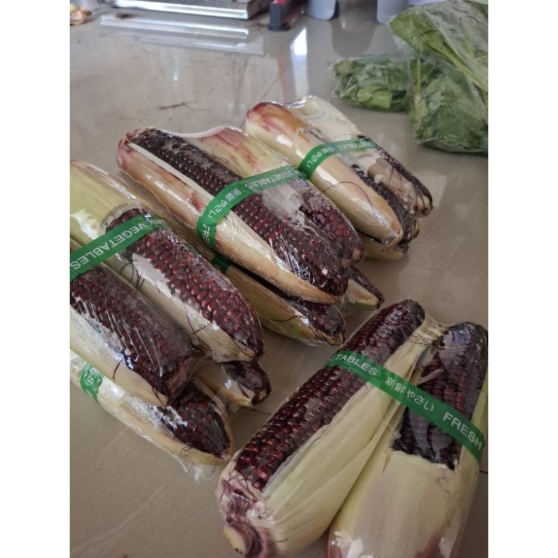 

Paket Jagung Ketan
